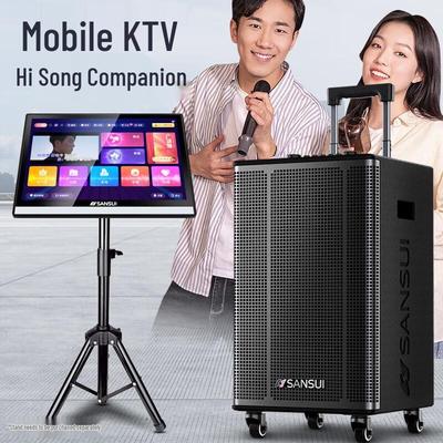 Домашняя караоке-система SANSUI C14 с HD-экраном