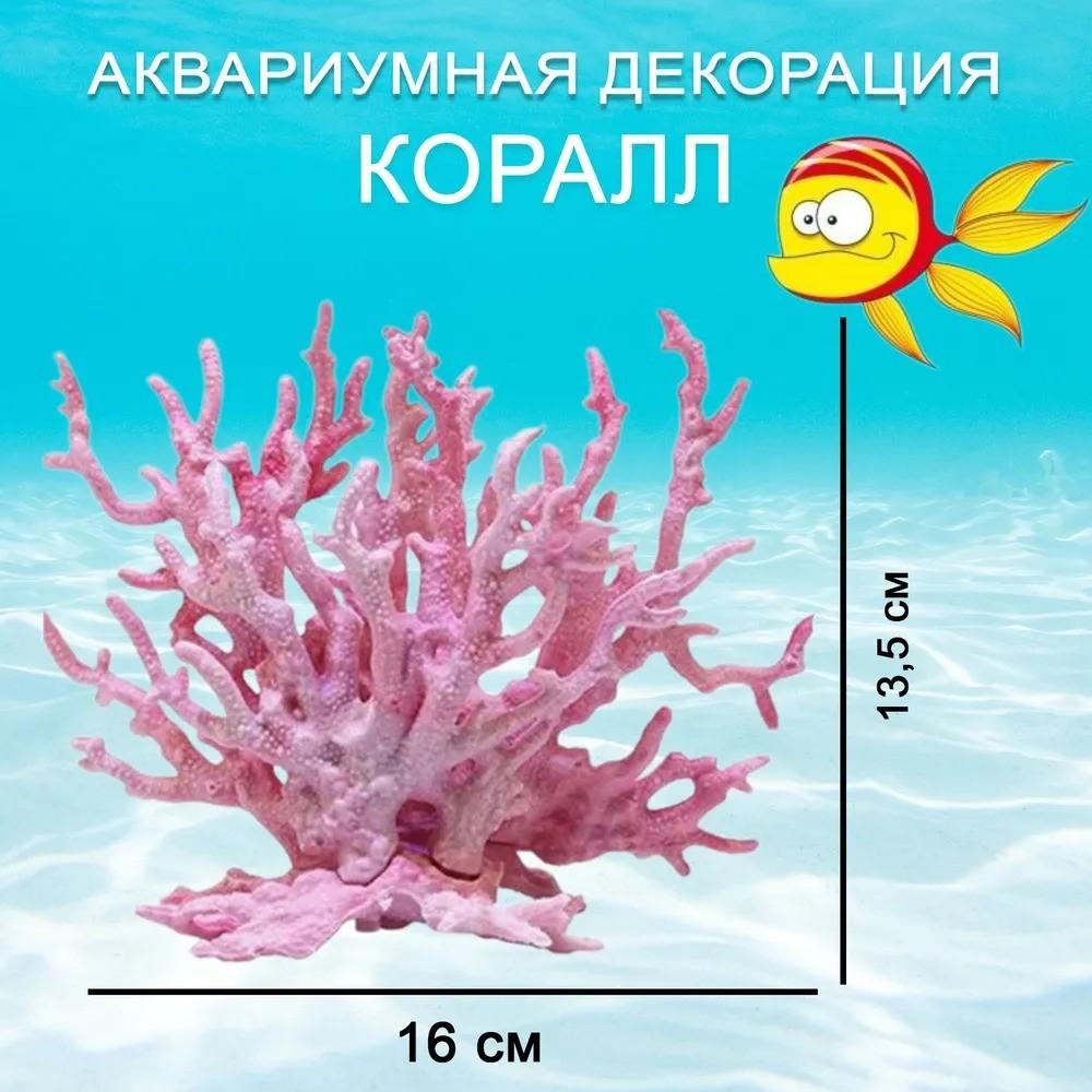 Маленькие мягкие кораллы, аквариумные растения, железные ветки, ландшафтный дизайн аквариума