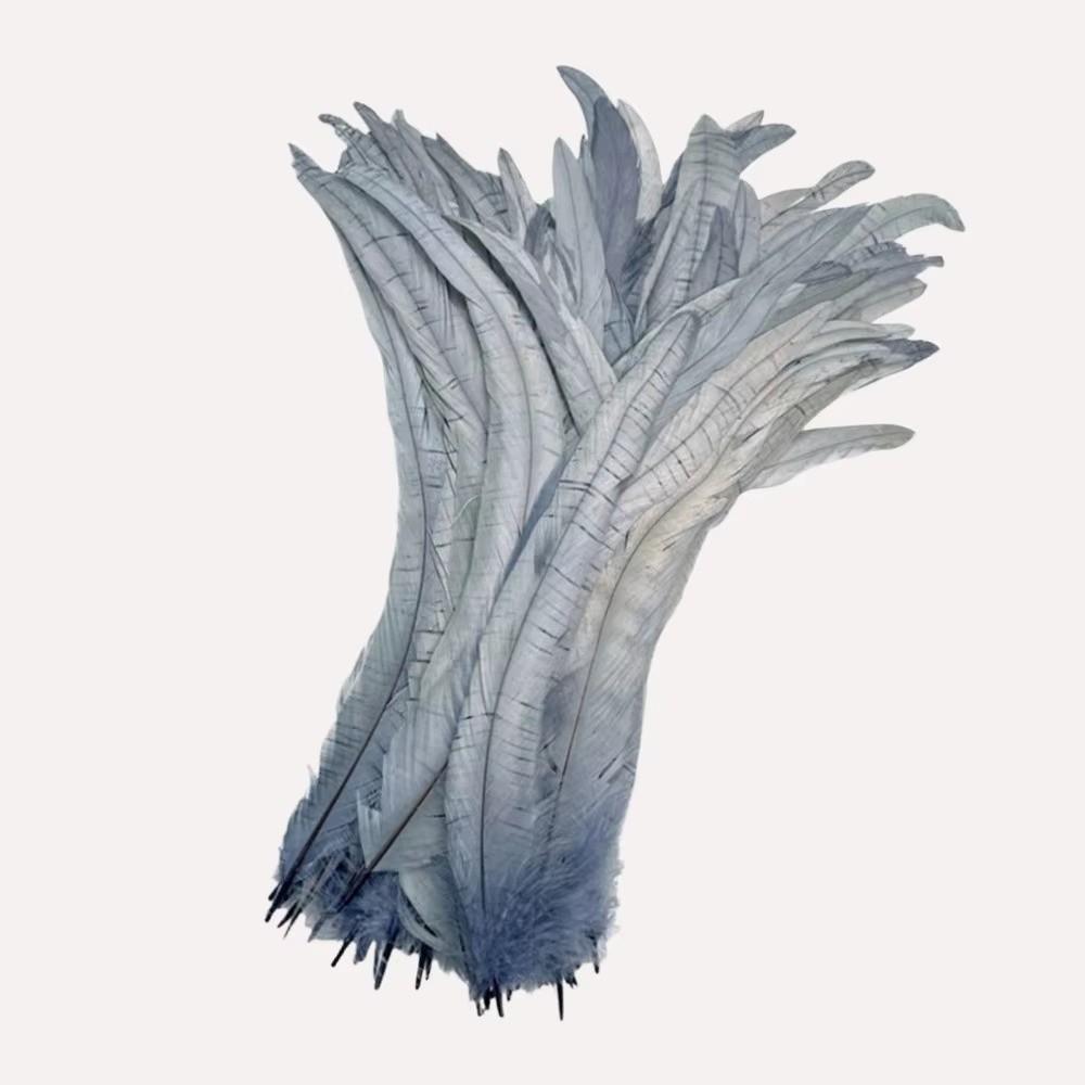 20Pcs Decorative Feather Plumes Natural Rooster Feathers Costume Feathers Costume Accessories