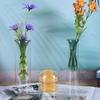 Alien Colored Glass Vase Double Glass Container Hydroponic Flower Vase