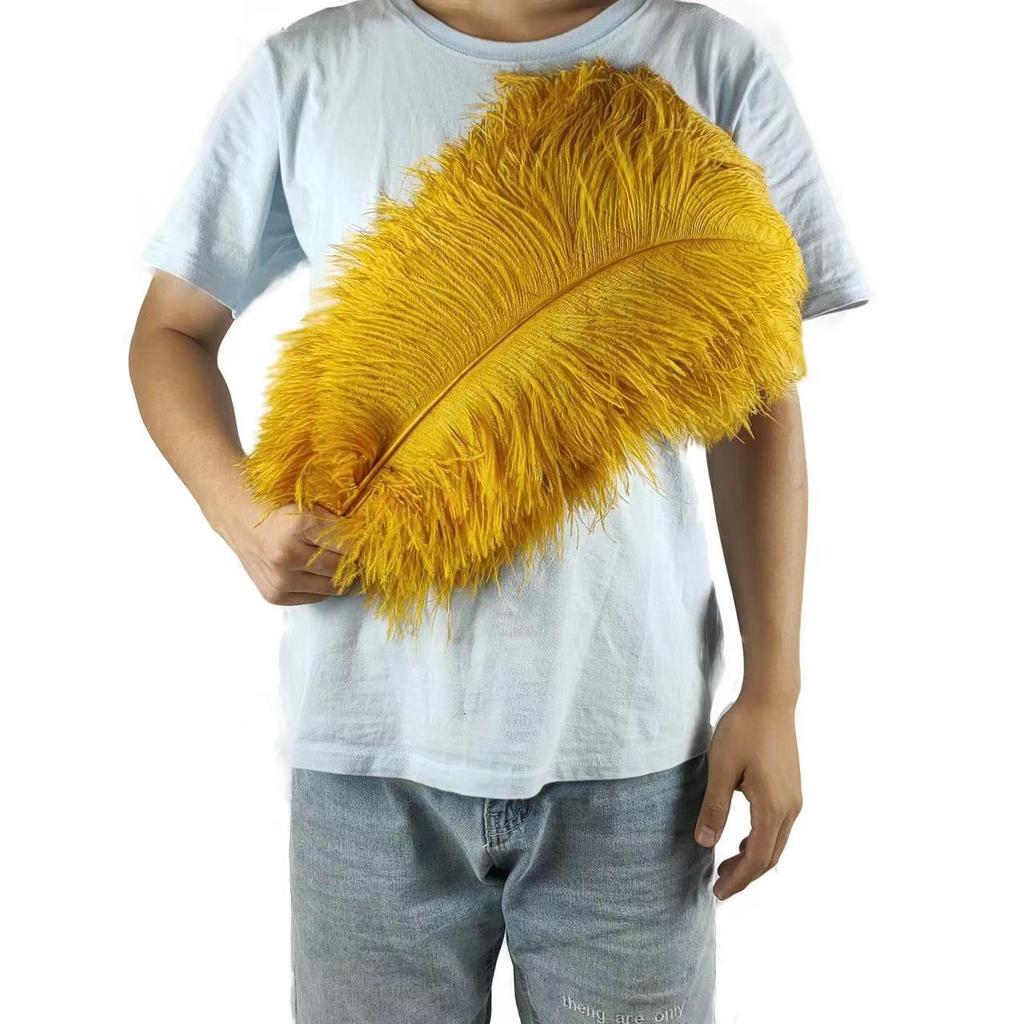 10PCS 45-50cm Colorful Big Feathers Ostrich Table Flower Table Flower Wedding Decoration Ostrich Feathers