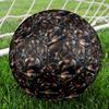 Final Fantasy Print Size 5 Soccer Ball, Standard Match Football for Sports Game and Team Practice, Ideal Gift for Soccer Fans