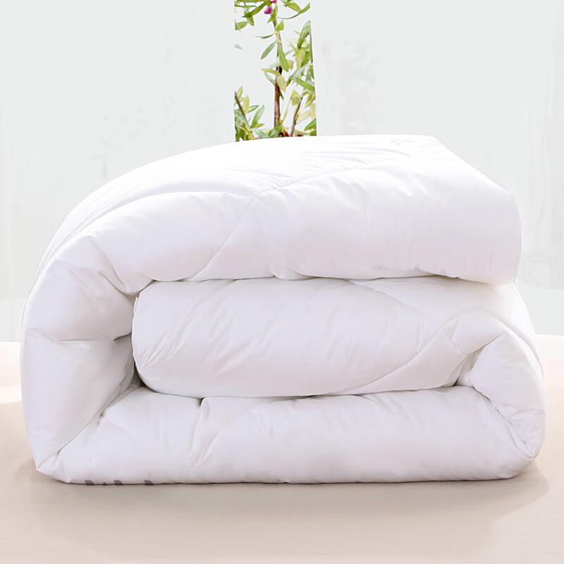 WA Down Alternative Duvet Insert