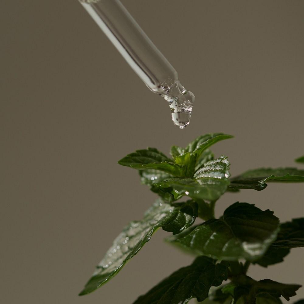 Mintree Carbonated Bubble Scalp Scaler 15 г 5 шт.