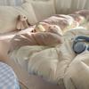 Однотонный моющийся комплект постельного белья из четырех предметов, мягкие и удобные простыни и пододеяльники для студентов, трехместный комплект
