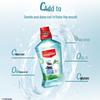 Colgate Cool Mint Alcohol-Free Fluoride Mouthwash (2x500ml)