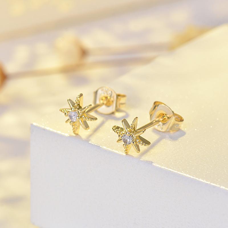 Character Classic Pure Silver Needle Earrings Micro-inlaid Star Earrings Hexagram Earrings Simple and Versatile Temperament Women's Ear Jewelry 2026
