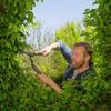 GARDENA NatureCut pruning Product up to 25 12300-20 53.5cm shears. warranty years.