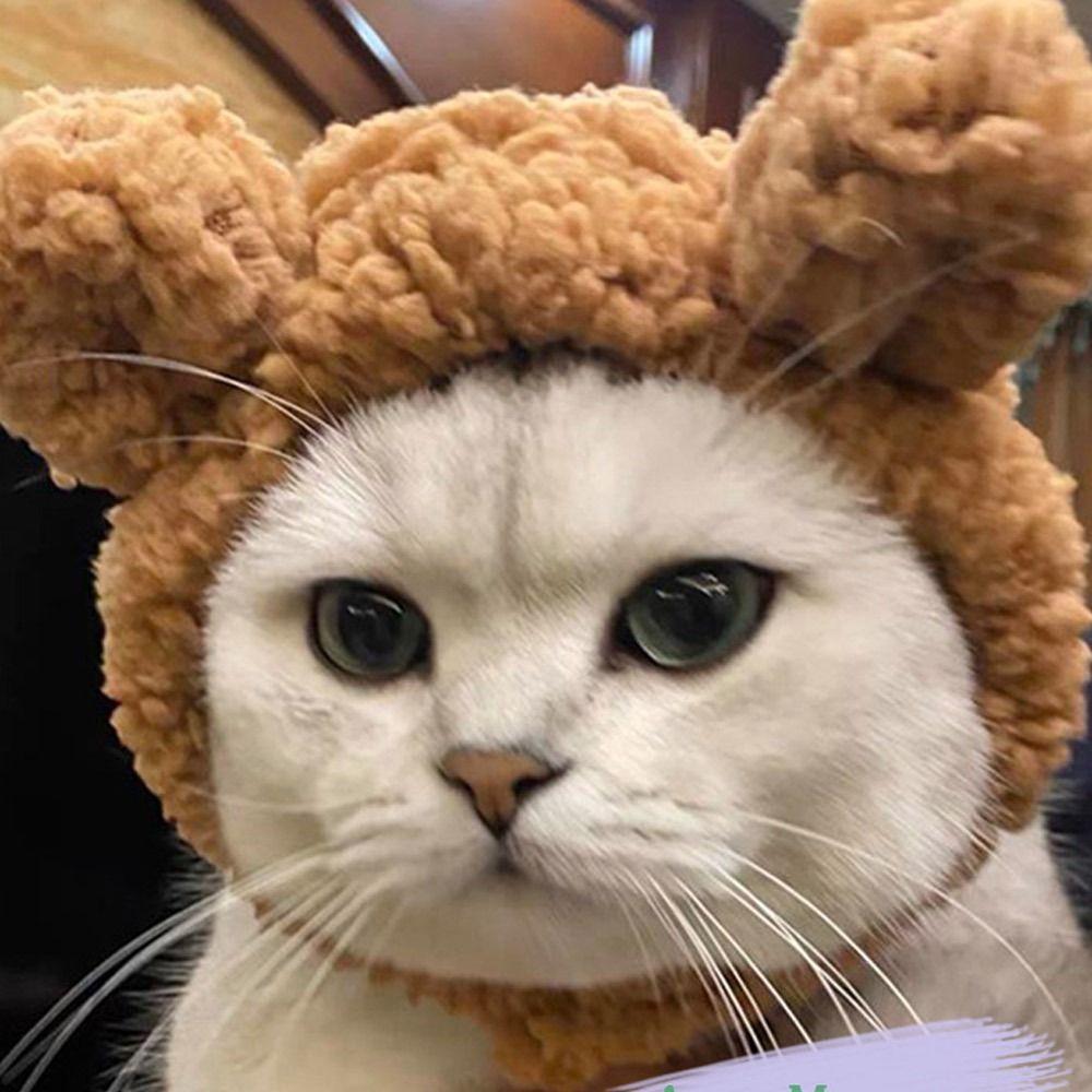 Милые удобные аксессуары для домашних животных Головные уборы Короткий плюшевый медведь Кошачья шапка Щенячья кепка