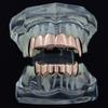 New Custom Fit Rose Gold Color Plated Hip Hop Teeth Grillz Top&Bottom Grill Set for Christmas Party Vampire Tooth Grillz