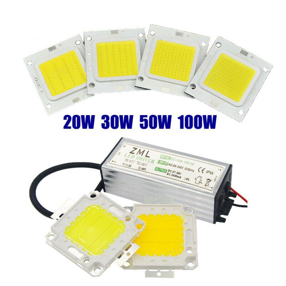 White/ Warm white 10W 20W 30W 50W 70W 100W Light Source LED COB Chip with Power Supply Driver