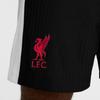 Nike LiverpoolDri FIT ADV Футбольные брюки Мужские Черный/Белый/Глобальный Красный FQ2044-010