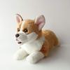 Ninian and Kino Plush Toy, Realistic Lying Dog, 40 Cm Long, Corgi