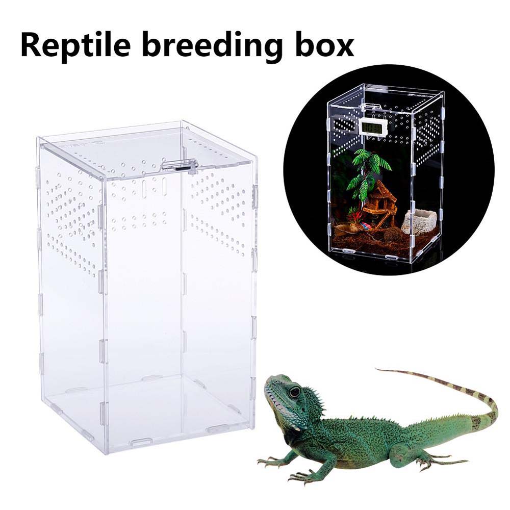 Акриловый контейнер для вылупления пауков, инкубатор для змей, лягушек, насекомых, рептилий, инкубатор для террариумов, ящик для разведения насекомых