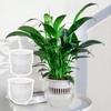 Self Watering Hydroponic Planter Including Liner Soil Flower Pot New Potted Flower Pot