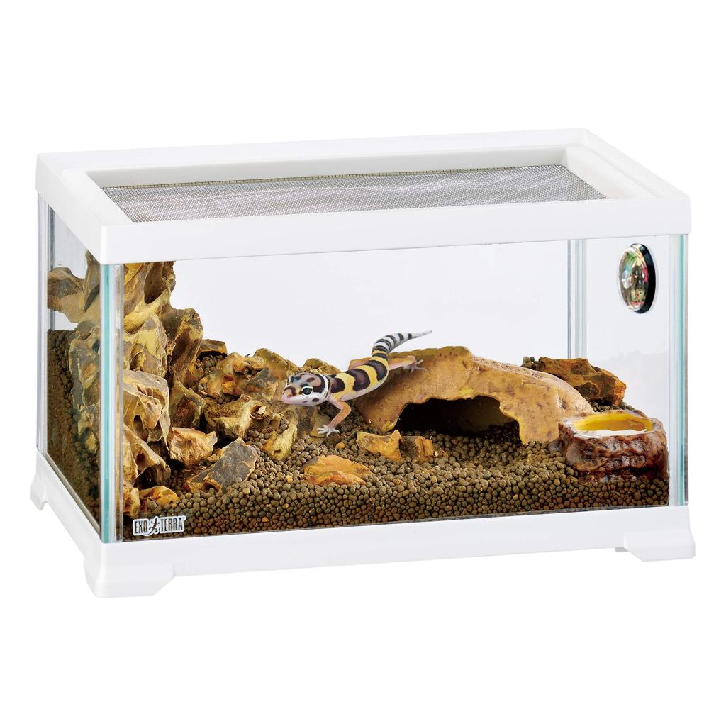 EXOTERRA GEX EXOTERRA Reptile White 300 Низкая маленькая стеклянная клетка для рептилий с белой рамкой x D20 x Клетка для разведения Ш31,6 В19,2 см Рептилии/Амфибии