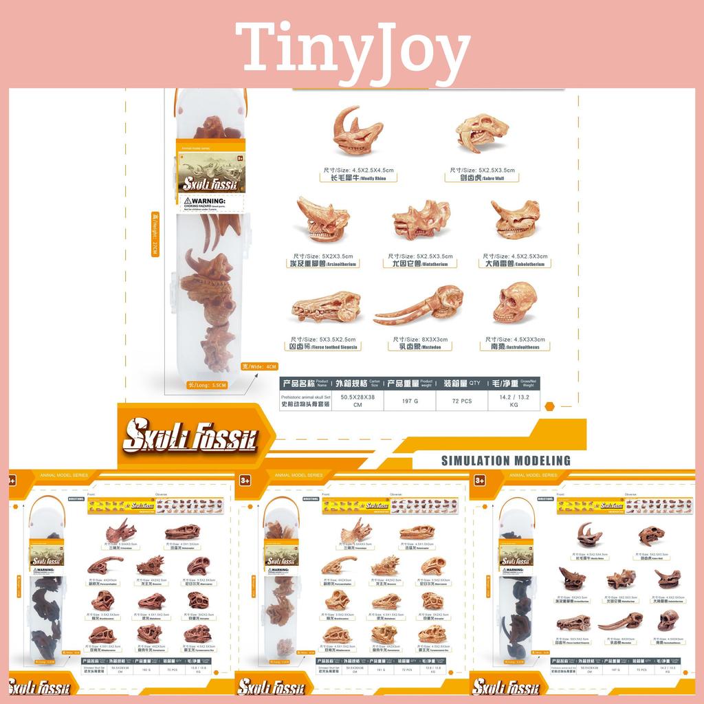 Динозавры Дикая природа Насекомые Растения Модель ПВХ Реплика окаменелости Музейного качества Декор Подарок