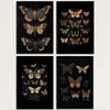 Винтажные постеры в стиле дарк-академия с изображением мотыльков, викторианская готика, иллюстрация насекомых, холст, настенные принты, картина для комнаты, домашний декор