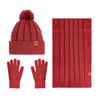 Winter Hat Scarf Gloves Set for Women Fleece Lined Pom Pom Skull Cap Long Scarf And Gloves Set Warm Knit 3 Pcs Set for Cold Weather