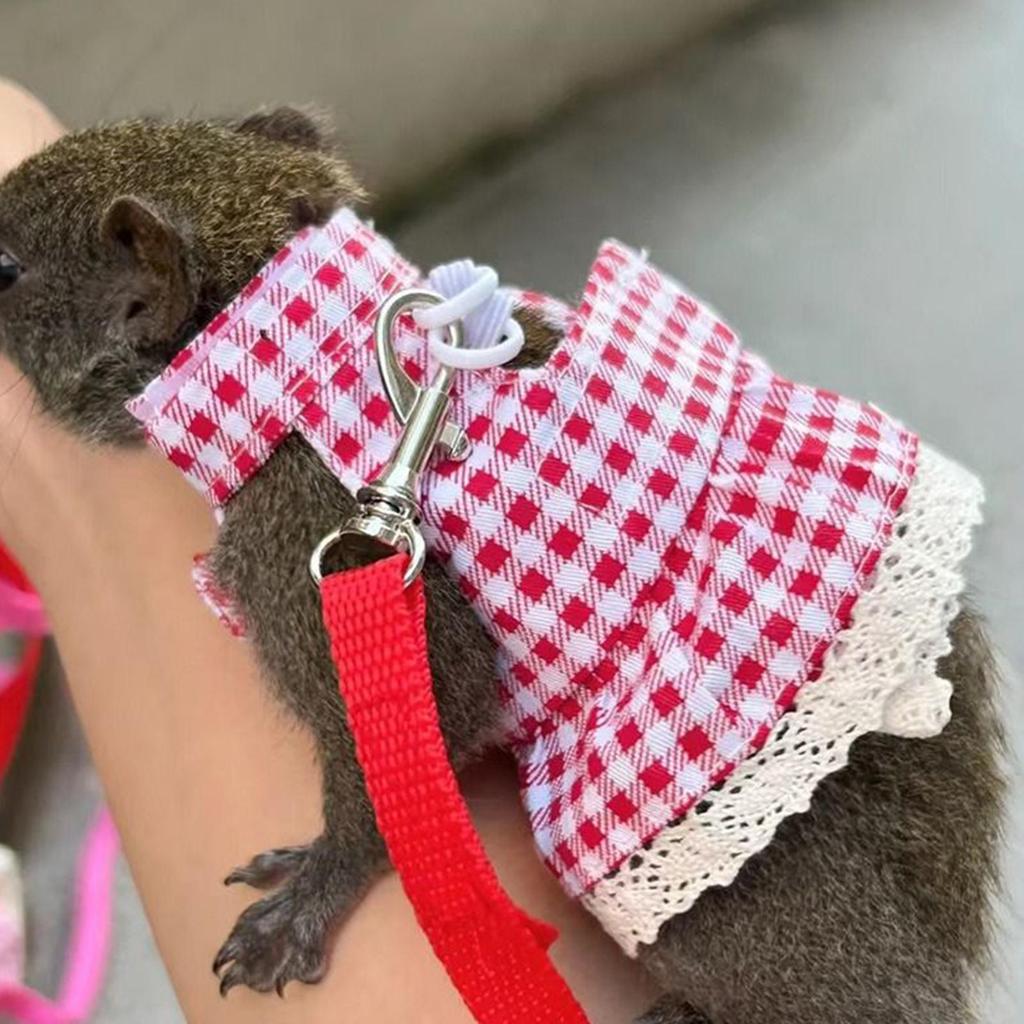 Bunny Harness Small Animal Walking Dress Strap Breathable Small Animal Clothes with Leading Rope for Training Outdoors Backyard