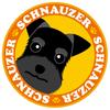 Stare Schnauzer Black [Black] Dog Sticker Orange Back Round Size L MK-2