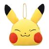 Center Soft Ball Pouch Pikachu, 9949498794, Popular Pokemon In Korea