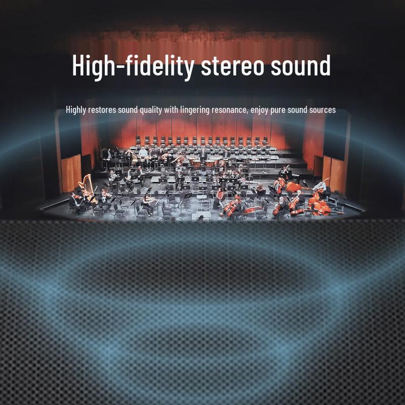 Runpu Professional Dual 15-inch Passive Conference Speaker (CN version)
