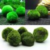 3-4 см шарики из мха Marimo живые аквариумные растения водоросли рыбы креветки аквариум украшение имитация зеленых водорослевых шариков искусственное растение