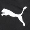 Puma Тренировочные брюки Team Liga