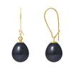Earrings - - Genuine Cultured Pearls - 9-10 Mm - Yellow Gold - Black Tahiti