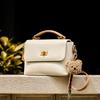2025 New Niche Soft Leather Texture Women's Handheld Small Square Bag High-end Versatile Large Capacity Shoulder Crossbody Bag