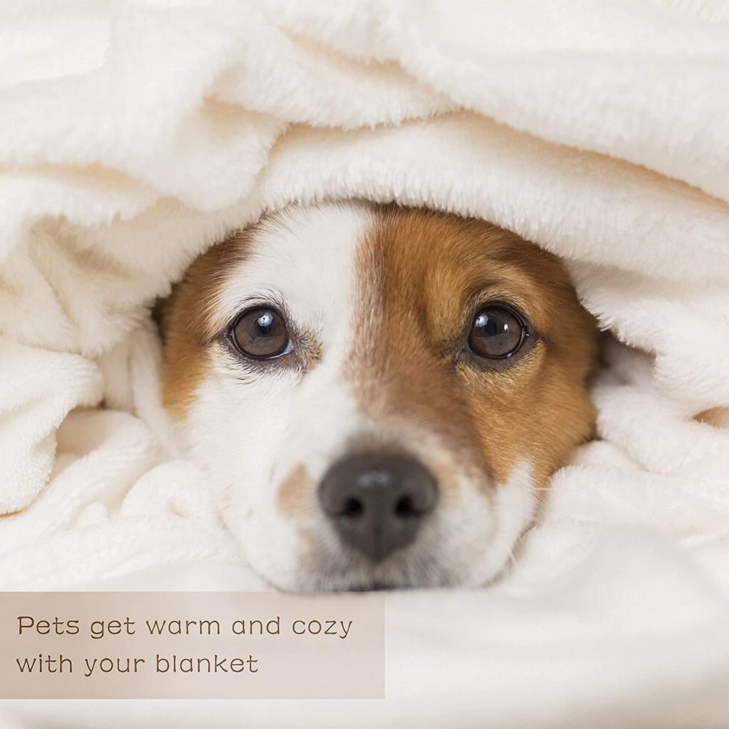 Butterfly Blanket Print Fleece Blanket Throw Light Weight Warm Blanket for Bed Kids Blankets Couch Chair Living Room All Season