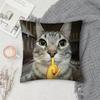 Чехол на подушку с смешным мемом про кота, квадратный, двусторонний принт, короткий плюш, чехол на диванную подушку, для спальни, прикроватной тумбочки