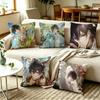 AAyn Alwyn Lovebrush Chronicles Character Pillow Case Square DoubleSided Sofa Cushion Cover Bedroom Bedside Pillow