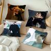 Наволочка для подушки с Park Bo Gum Kpop, квадратная подушка, спальня, диван, подушка для отдыха и комфорта, автомобиль, гостиная, домашний декор