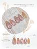 Just like ceramic 5 micron magnet nails Magnet color gel popular self gel nails easy cute Studio ultra-fine "5micron syrup" <Nail Official>