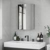 Bathroom Mirror Cabinet Stainless Steel Wall Mounted Vanity Cabinet 39 X 12 X 60 Cm