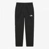 The North Face Техwear Брюки Np6fs51a Черный