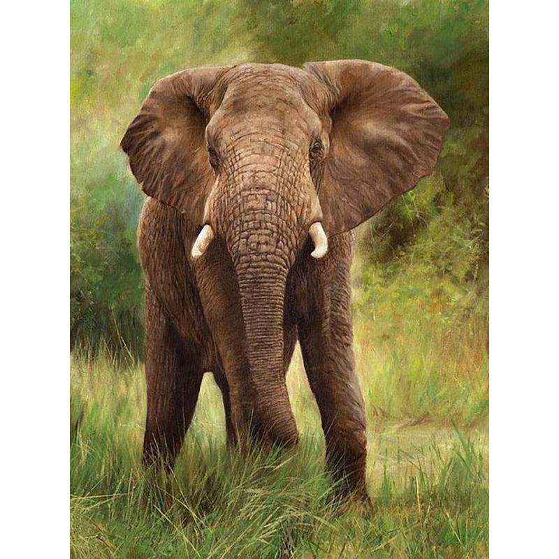 Слон DIY 5D алмазная живопись полная круглая дрель животное Алмазная вышивка крестиком мозаика наборы настенное искусство домашний декор