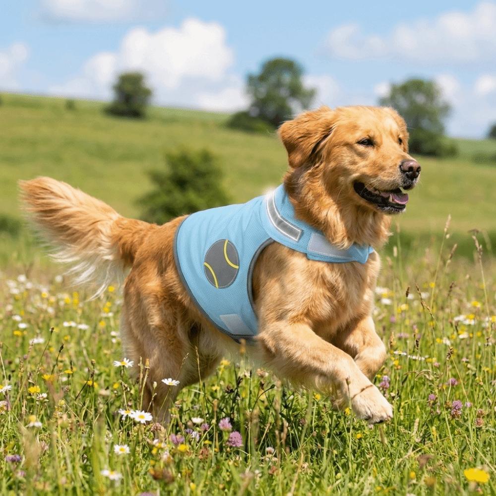 Breathable Mesh Dog Cooling Vest Reflective Summer Dog T-shirt Heatstroke Prevention