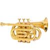 Shining Brass Pocket Trumpet with a Mouthpiece and a Carry Case