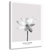 Canvas Print White Lotus Flower Nature