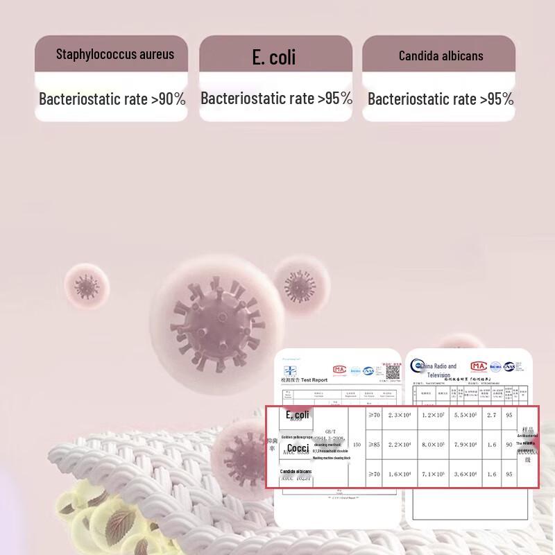 Bonaus Women's Mulberry Silk Antibacterial High-Waist Underwear 3-Pack