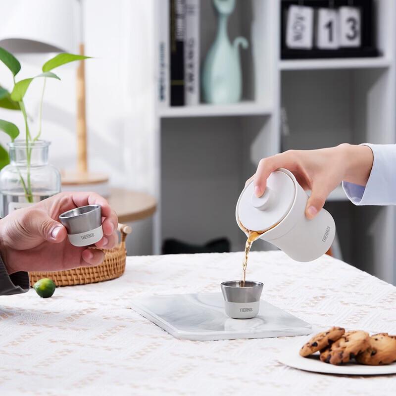 Thermos Insulated Travel Teapot & Teacup Set