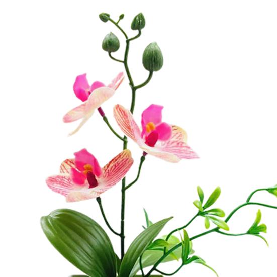 Искусственный бонсай Реалистичные три цветка Неувядающие Неувядающие Декоративные DIY Поддельные Орхидеи Фаленопсис