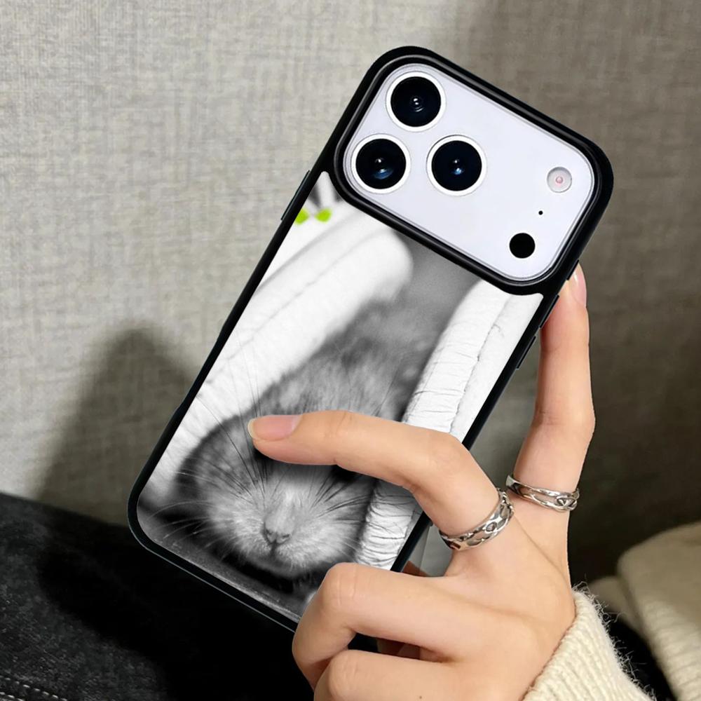 Чехол Case для iPhone 17 Air 16 Pro Max 15 Plus 11 13 Mini 14 12 Задняя крышка телефона Милый Забавный Хомяк