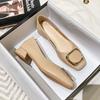 2024 Spring New Fairy Style Gentle Middle Heel Shoes Large Women's Shoes Women's Thick Heels 41-43