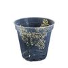 3pcs Home Garden Round Planter Pot Orchid Nursery Container Planter Container Transparent Orchid Container Round Starting Pot