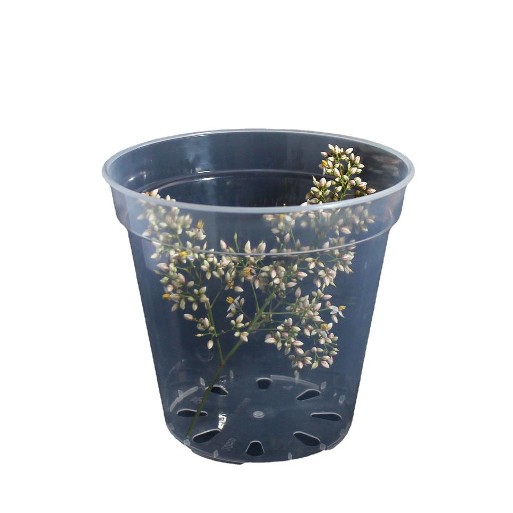 3pcs Home Garden Round Planter Pot Orchid Nursery Container Planter Container Transparent Orchid Container Round Starting Pot
