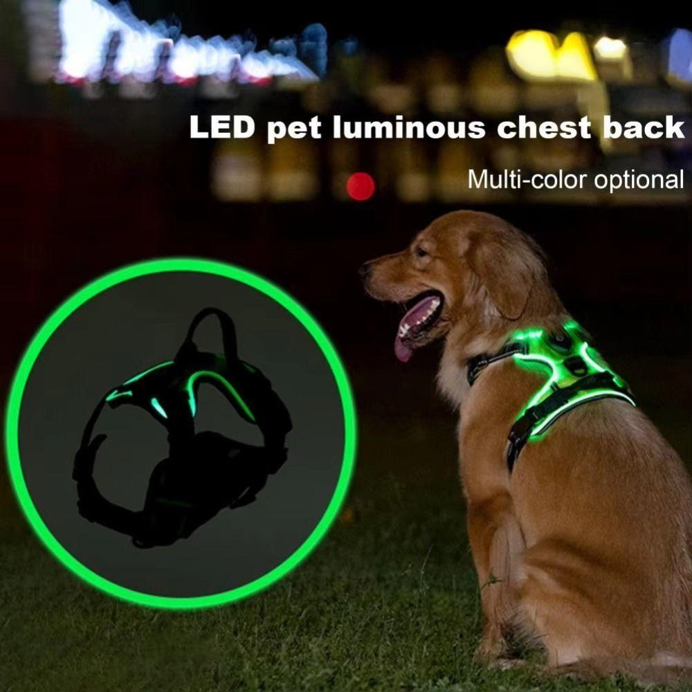 Light Up LED Dog Harness Rechargeable Adjustable Luminous Pet Chest Strap Flashing Padded Collar Dog Glow Vest for Night Walking